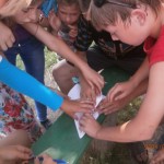 OLYMPUS DIGITAL CAMERA OLYMPUS DIGITAL CAMERA