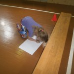 OLYMPUS DIGITAL CAMERA