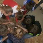 OLYMPUS DIGITAL CAMERA