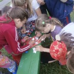 OLYMPUS DIGITAL CAMERA