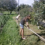 OLYMPUS DIGITAL CAMERA