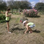 OLYMPUS DIGITAL CAMERA