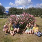 OLYMPUS DIGITAL CAMERA