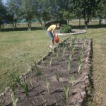 OLYMPUS DIGITAL CAMERA OLYMPUS DIGITAL CAMERA