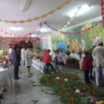 OLYMPUS DIGITAL CAMERA