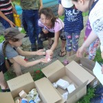 OLYMPUS DIGITAL CAMERA