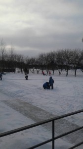 image-0-02-05-2bf109ce3acfb1b4eb70b842a6d7d4947969461e98e0ec59a3da2b12b344a516-V